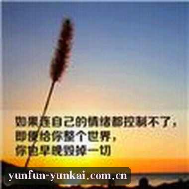张总